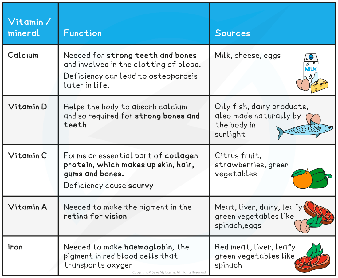 Edexcel IGCSE Biology Double Science 复习笔记 2.5.7 Humans Balanced Diet