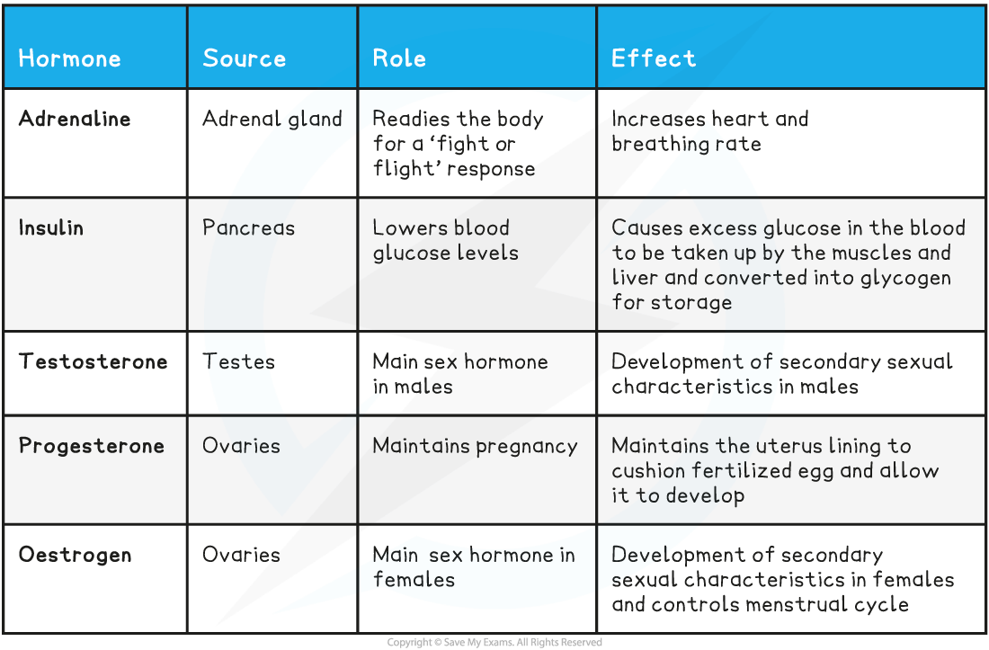 important-hormones_-basic_1