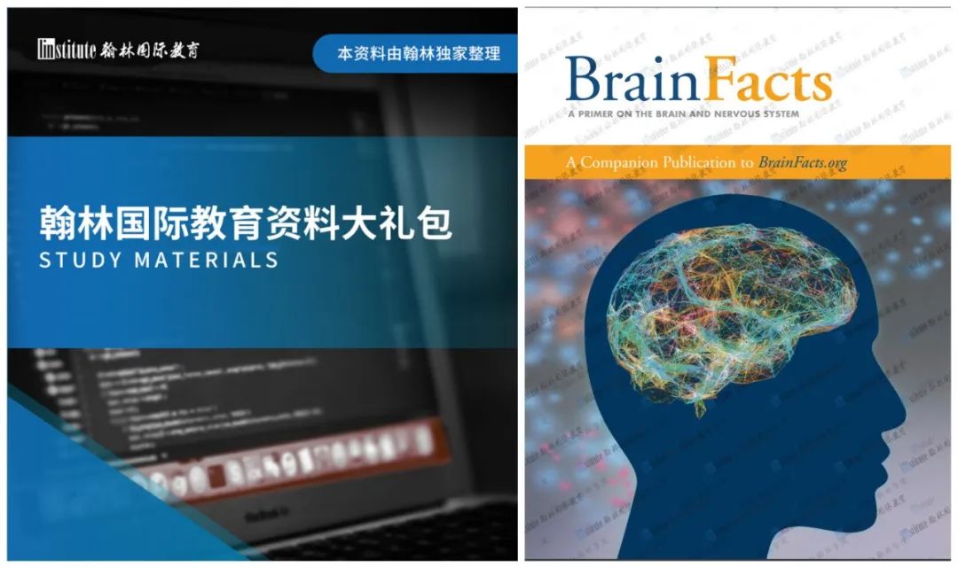 注意！世外/南外/深国交学霸爬藤“必选项”，2023 BrainBee翰林考点开始报名！