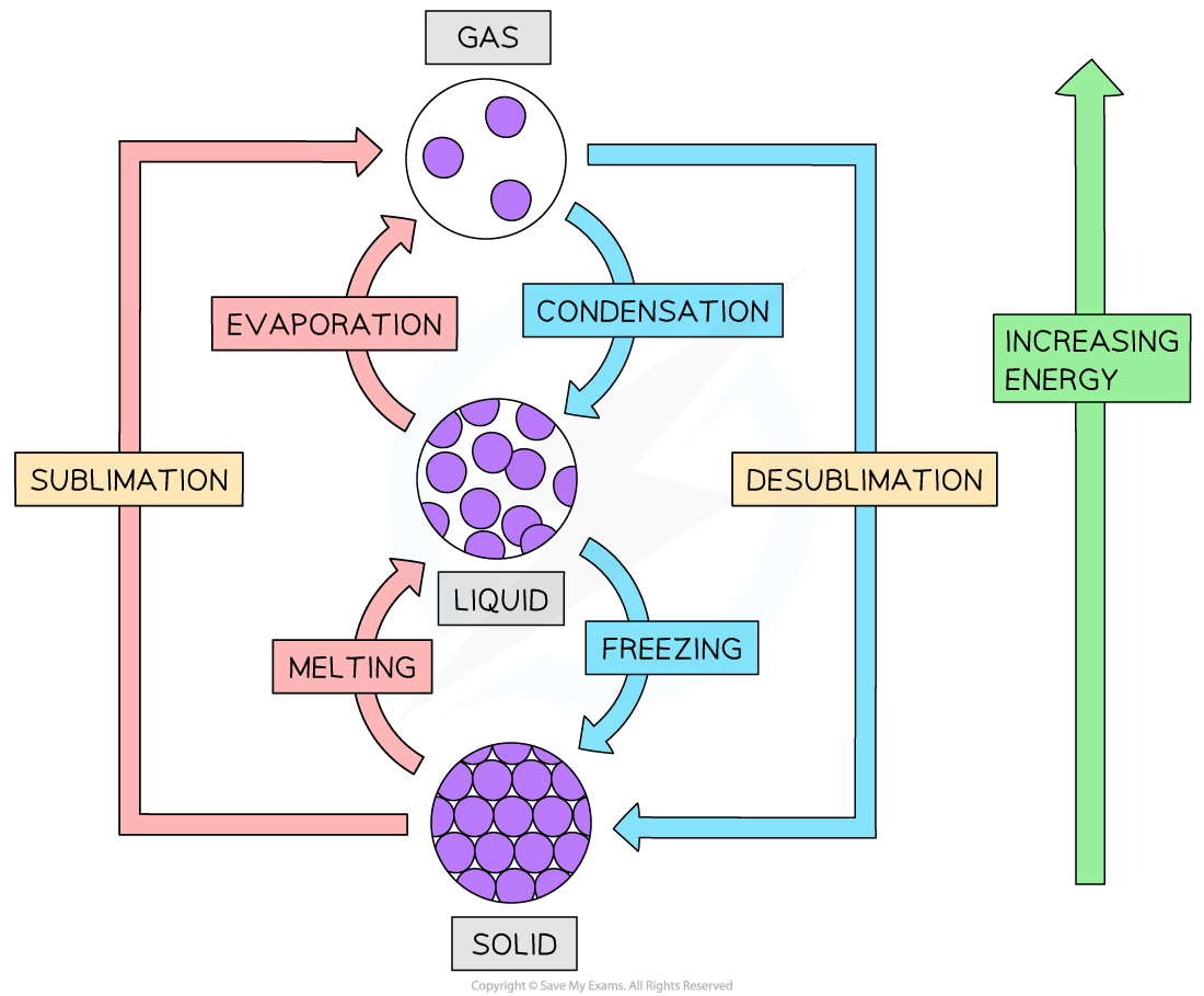 CIE IGCSE Biology 1 1 2 States Of Matter