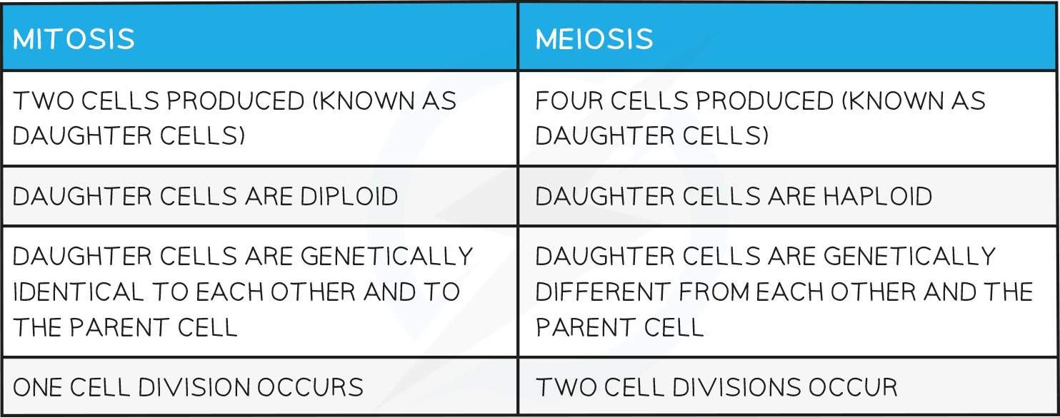 17.4-Differences-between-mitosis-and-meiosis-table