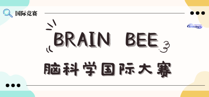 2023 Brain Bee脑科学大赛报名中，生化方向的同学不要错过~