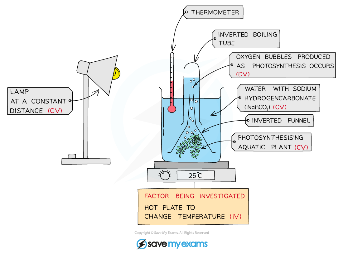 Investigating-the-effect-of-changing-temperature-on-the-rate-of-photosynthesis