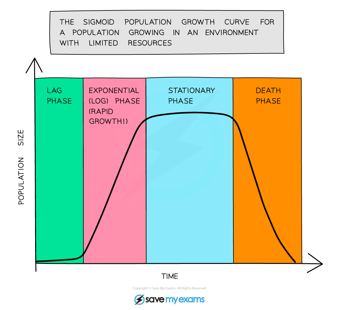 CIE IGCSE Biology 19 1 6 Populations