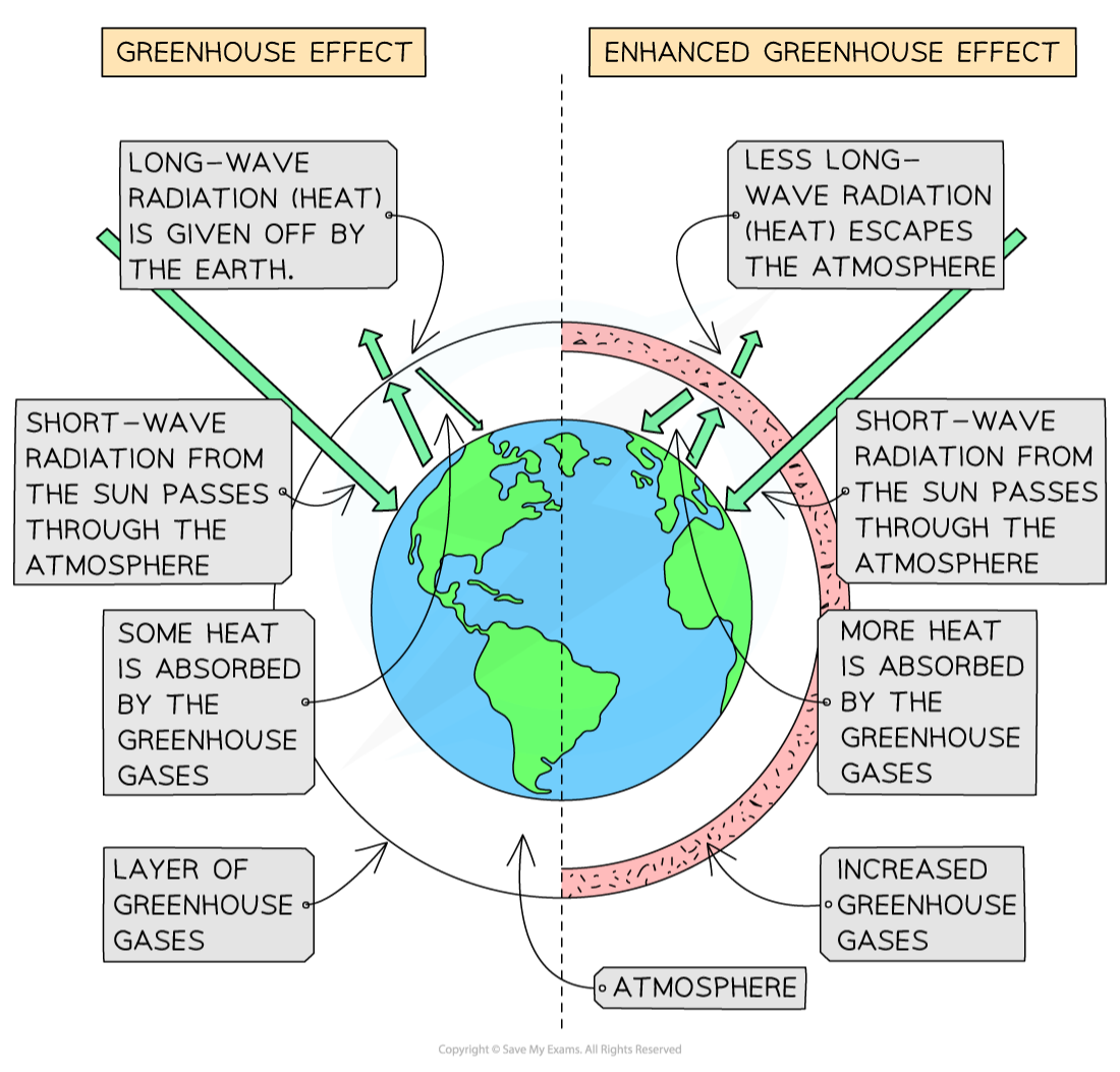 CIE IGCSE Biology 20 1 4 Other Pollution