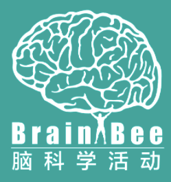 Brainbee脑科学大赛含金量高吗？怎么准备？