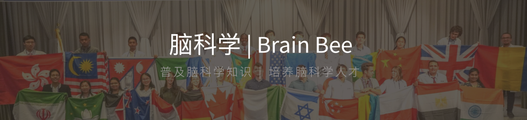 招生官：参加Brain Bee脑科学学术活动了？发offer！|| 卷王必备