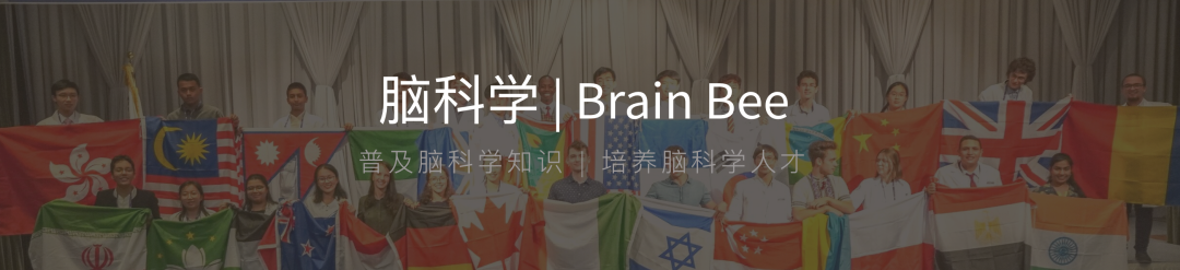 Brain Bee脑科学全国赛放榜！翰林学员斩获2枚一等奖、3枚二等奖、13枚三等奖！