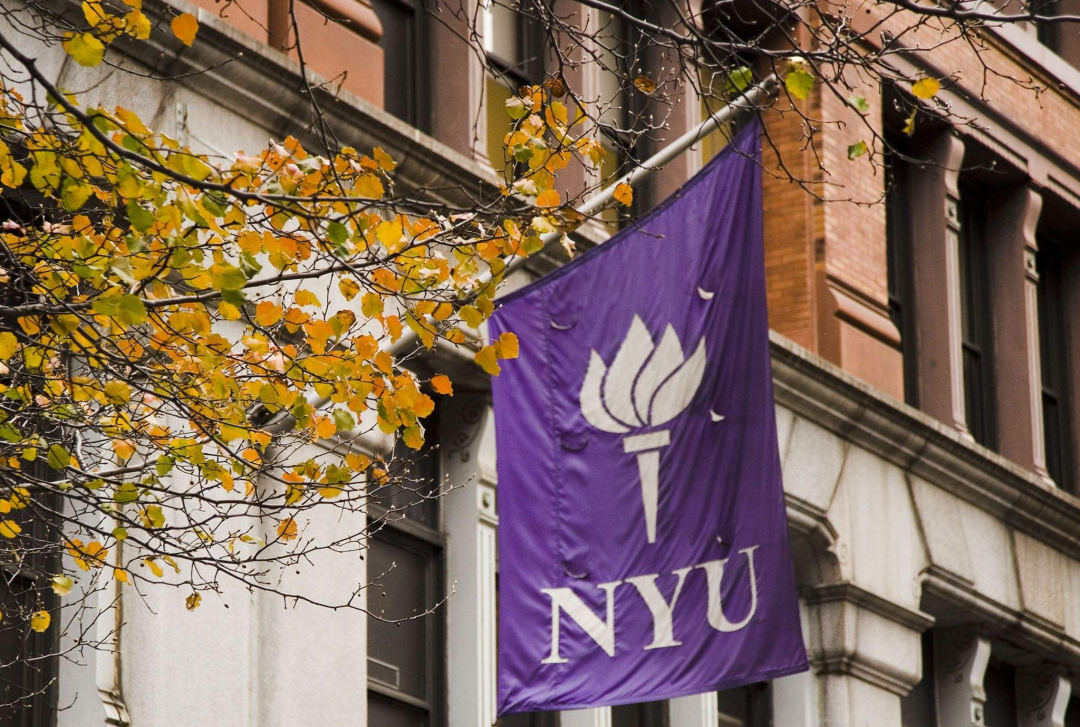 10年级初入国际体系，TA是如何利用自己热爱的经济商科圆梦NYU的？