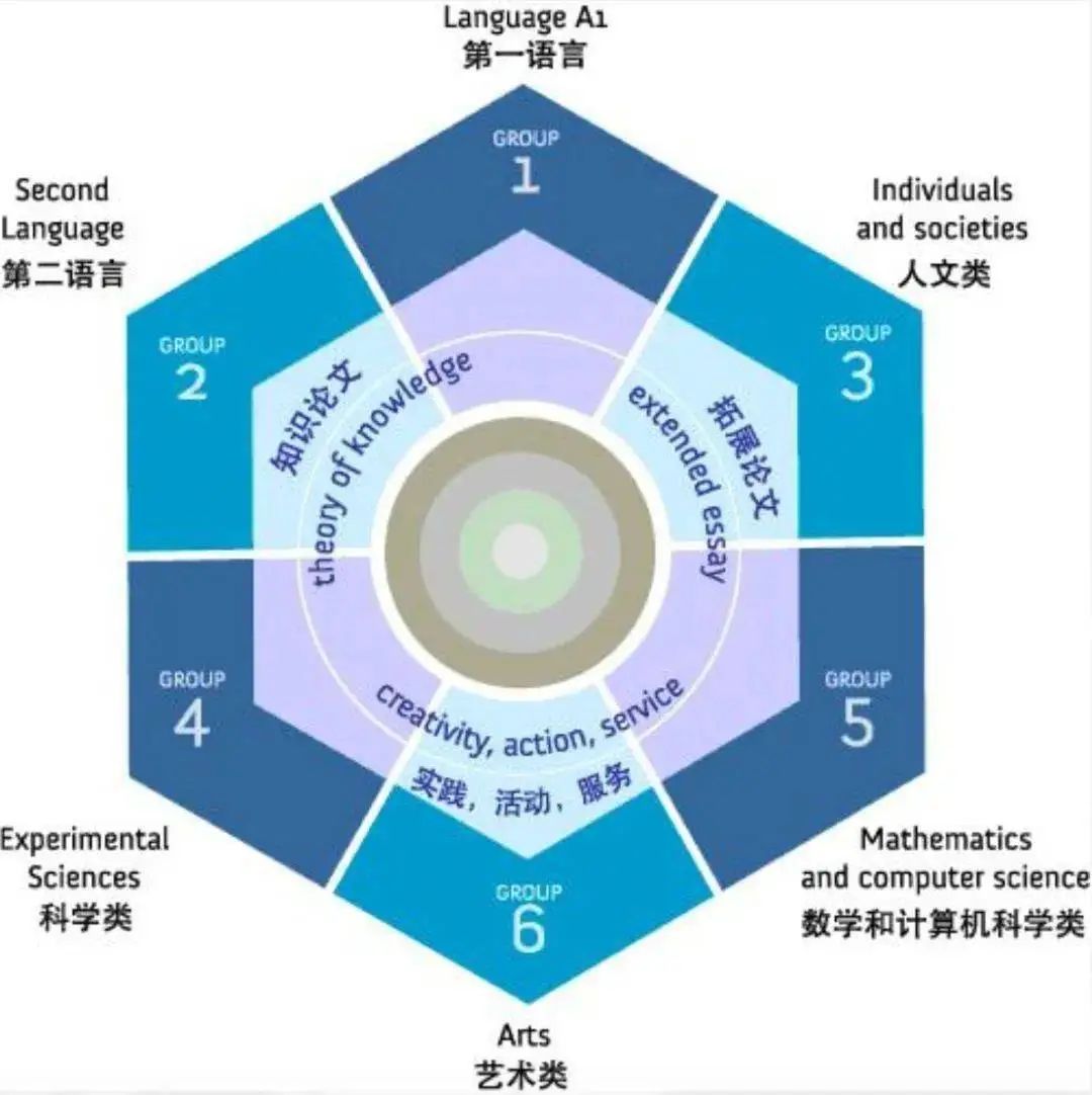 如何选择适合你的高中课程：AP、IB、A-level详细科普！