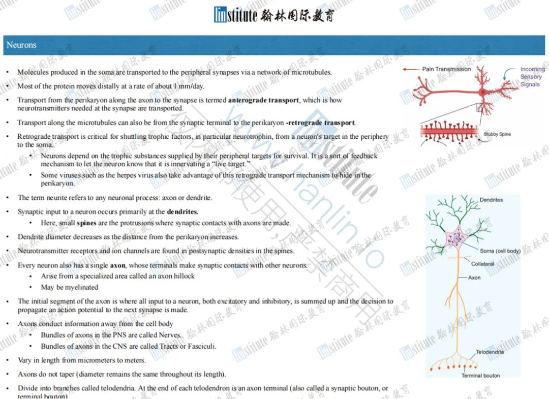 重磅！当代学霸备战Brain Bee生物赛事的“黑科技”，快来get独家获奖秘籍！