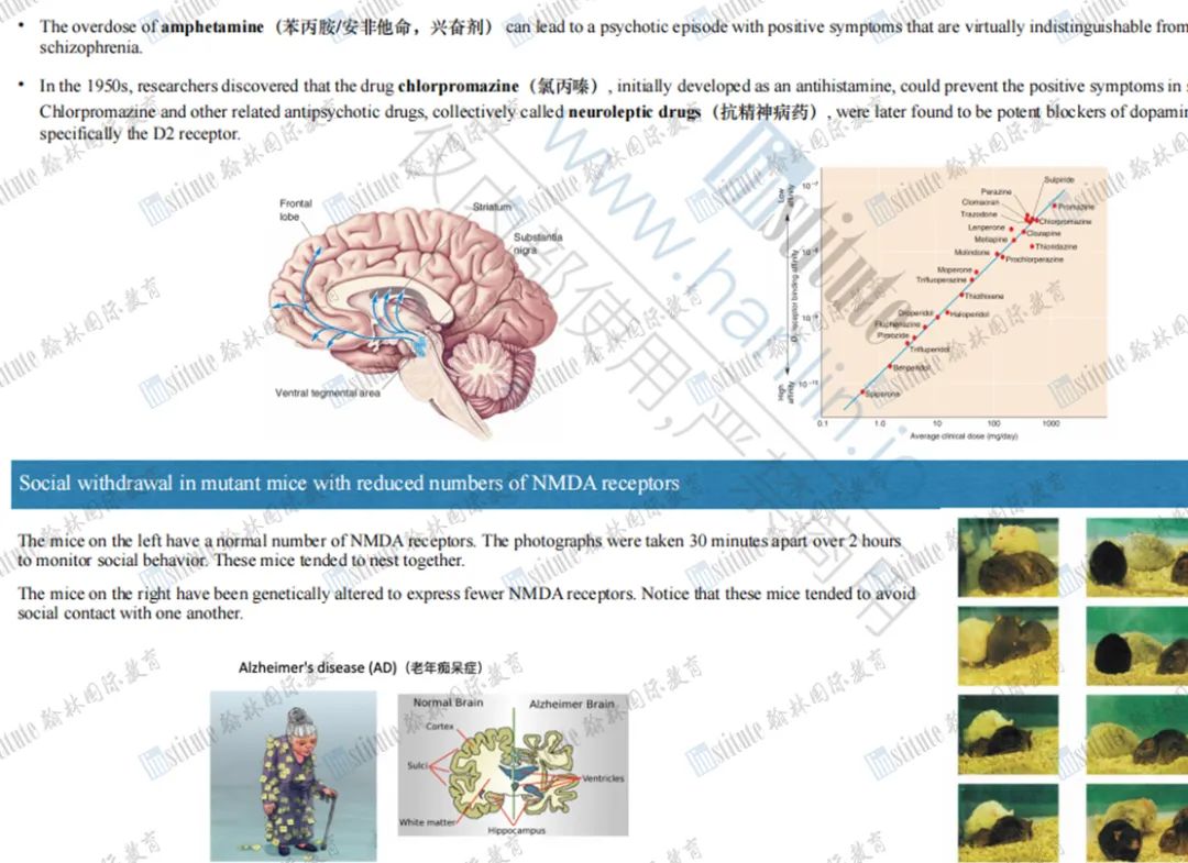 重磅！当代学霸备战Brain Bee生物赛事的“黑科技”，快来get独家获奖秘籍！