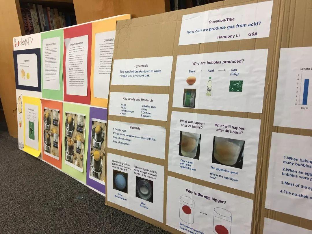 2018-19中学科学博览会 FDIS Middle School Science Fair