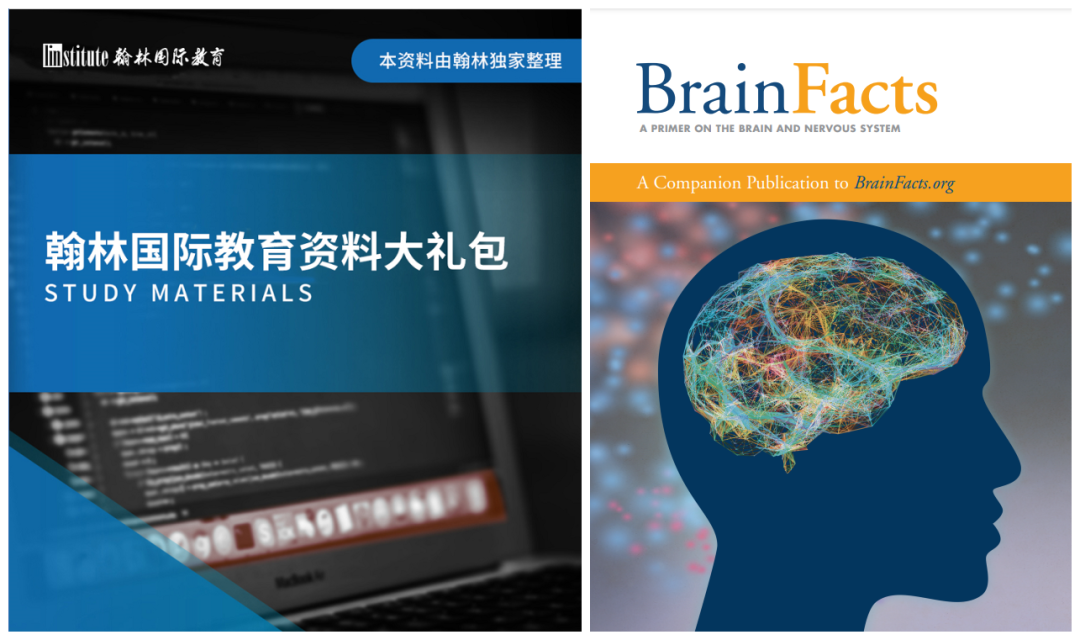 Brain Bee报名倒计时！解锁脑科学研究新技能，零基础也能轻松入坑！