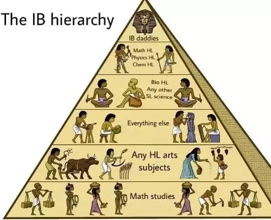 想要成功走到IB金字塔顶端，第一步千万别选错！