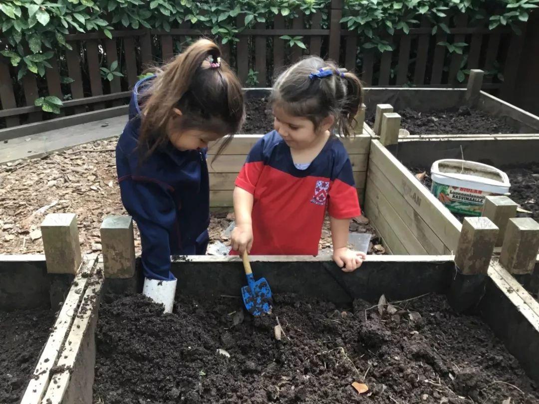 Eco-Gardening in the Big City | 大都市内的生态园艺