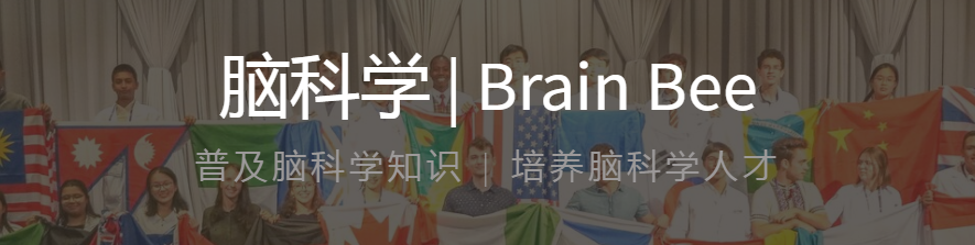 参赛者被“哈耶普斯”录取！2022年Brain Bee脑科学活动来啦！