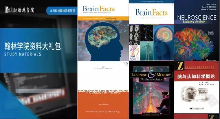 您有一封Brain Bee脑科学大赛全国赛邀请函待查收！