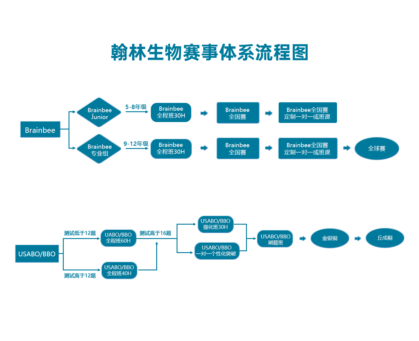 翰林生物学术活动课程体系流程图