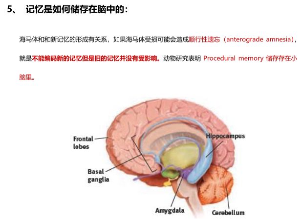 764799-ae8fe3fe127c20d593812166f866240a