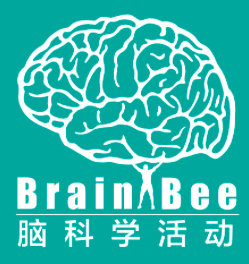 重要公告！2025年Brain Bee脑科学活动报名开始！