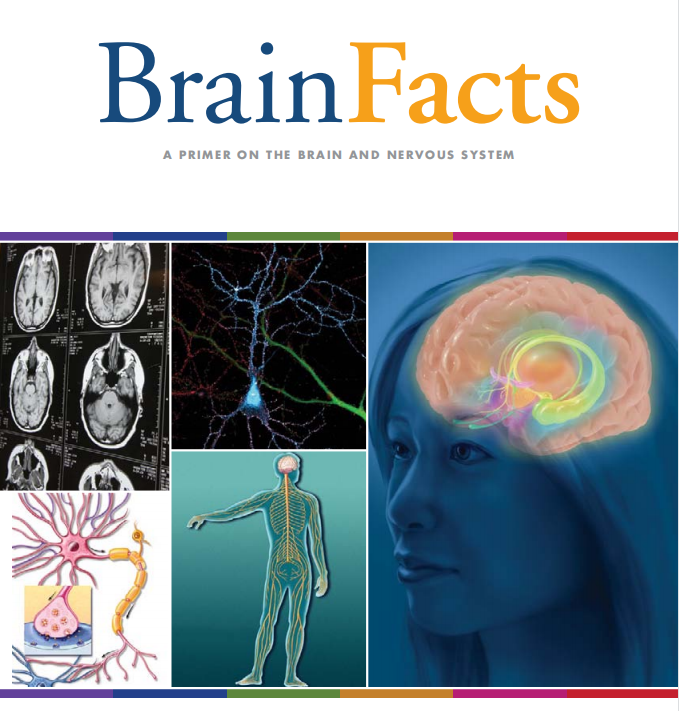 喜报不断！恭喜13位翰林学员在Brain Bee脑科学全国赛中获奖！