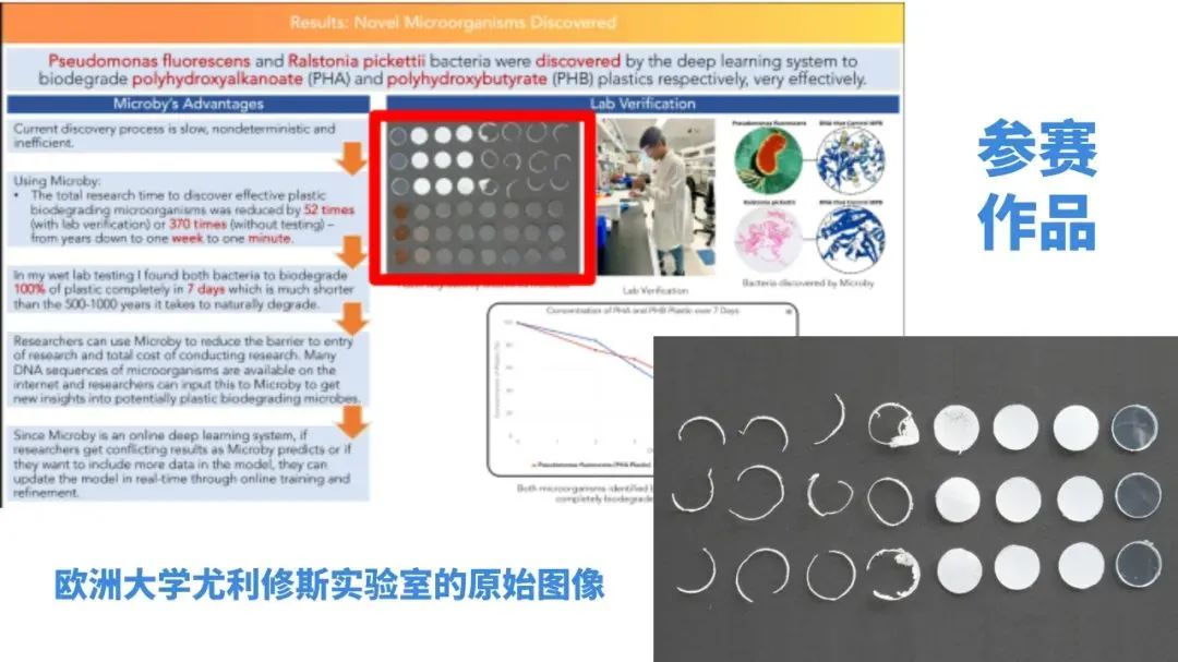 尘埃落定！ISEF官方发布声明：造假项目撤回，奖项已撤销！