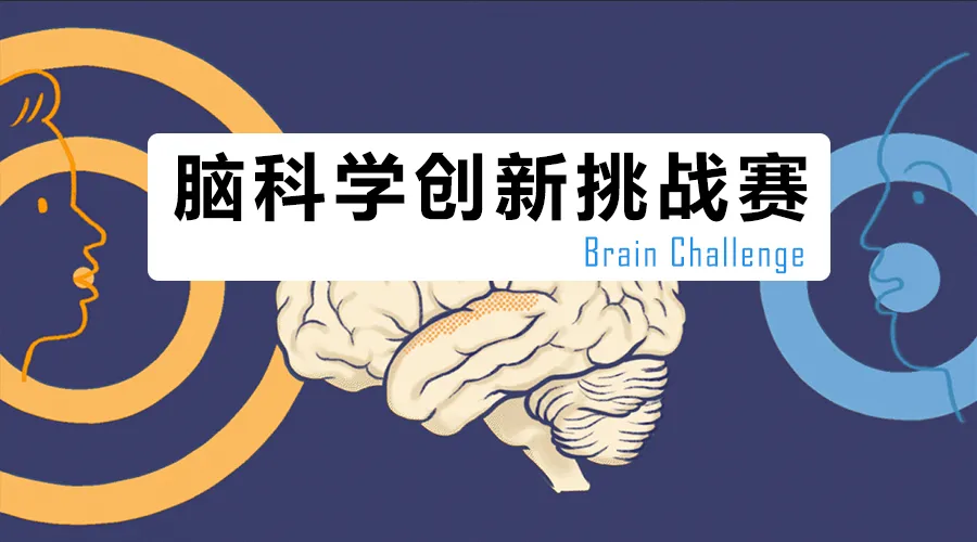 2024年脑科学创新挑战赛（Brain Challenge）启动，欢迎参加！