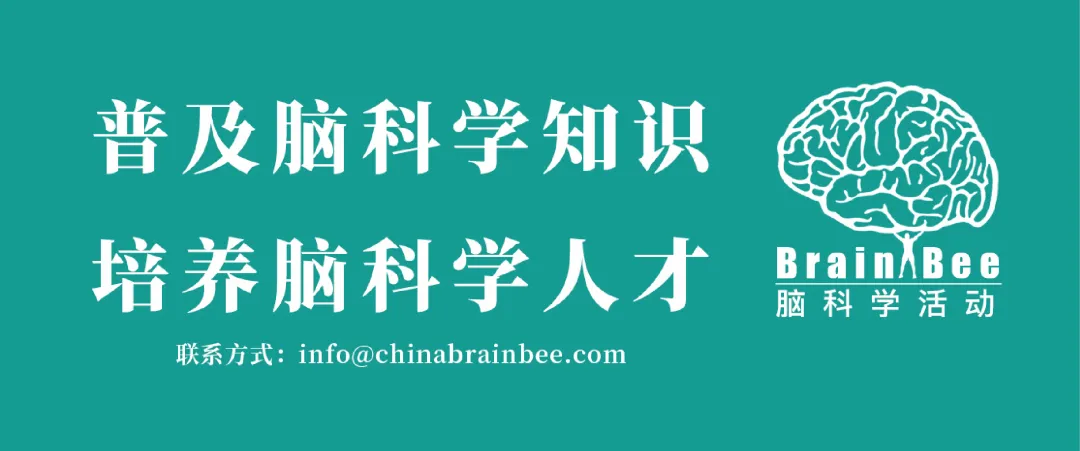 2024年脑科学创新挑战赛（Brain Challenge）启动，欢迎参加！