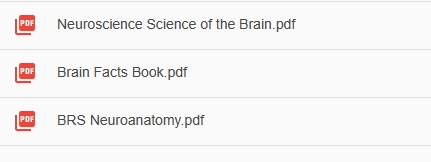 斯坦福/哥伦比亚大学学长力荐的Brain Bee脑科学活动！生物er必备！