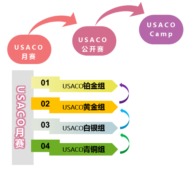 9.9元上USACO/CCC计算机体验课！哥大学姐亲授！小白也能“玩转”计算机赛事！