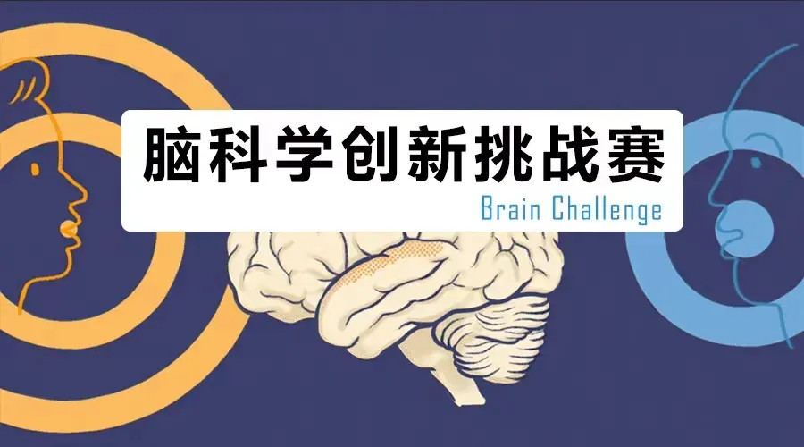 重要提醒！2024年Brain Chanllenge竞赛火热报名中！