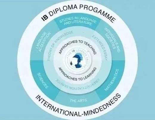 突破IB数学高分壁垒！分专题式教学！IB数学AA专题体验课来啦！