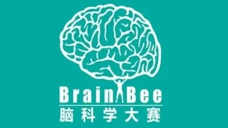 藤校G5录取生“狂卷”的生物竞赛！USABO/BBO/HOSA/BrainBee哪个是你心头爱？