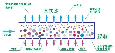 清华/北大/同济/港大！读遍名校的学霸老师来翰林啦！