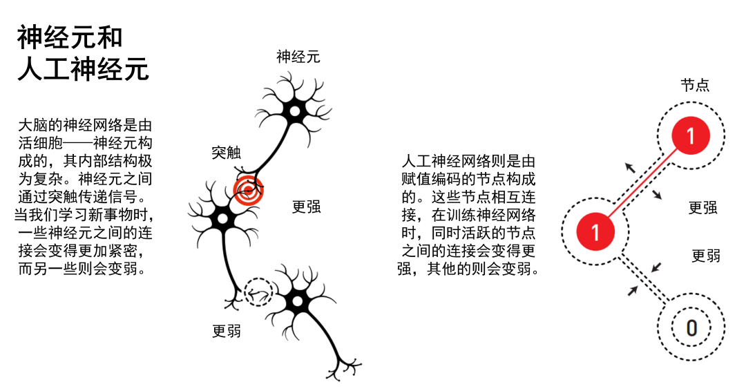 爆冷！2024诺贝尔物理学奖公布！两位人工智能先驱，用物理解码信息！