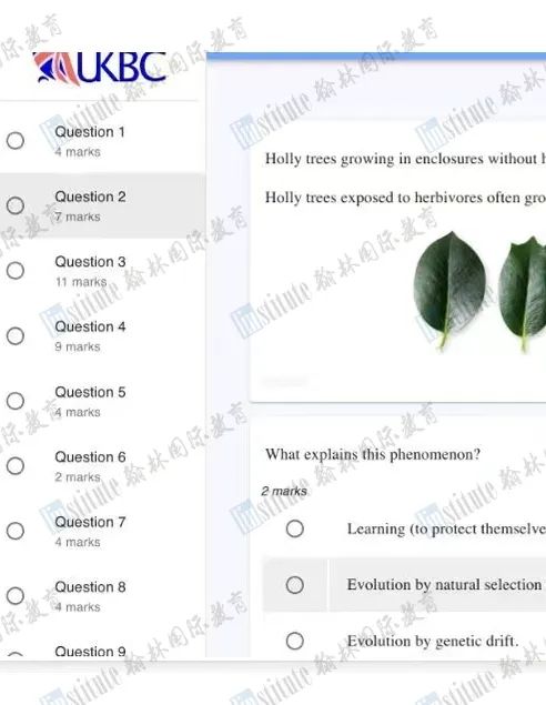 Euclid/BBO/USACO/AI实战家…寒假集训班课上线啦！紧抓备赛黄金期，冲击顶级竞赛！