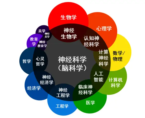 Niche发布2025美本神经科学专业排名！MIT占据榜首，藤校占据大半壁江山……