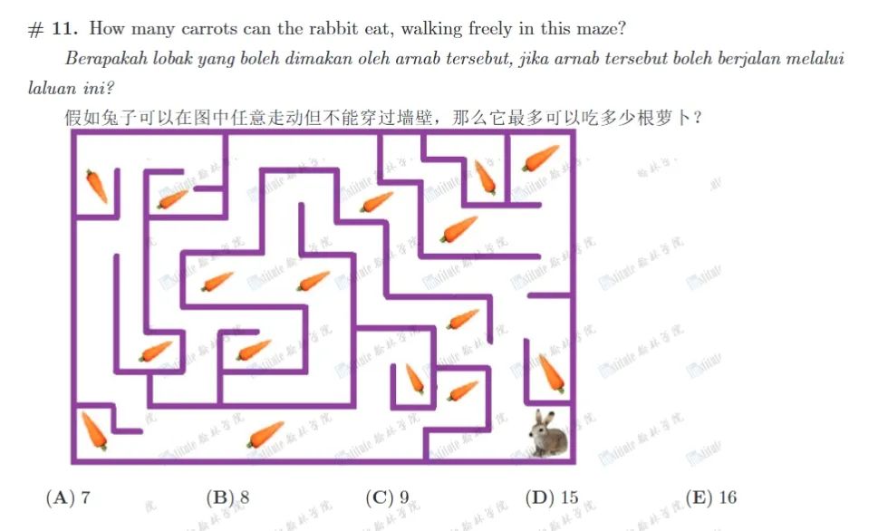 深扒袋鼠的四种题目，终于知道为什么孩子参加过一次就上瘾了！