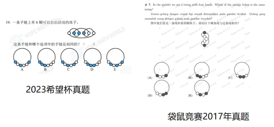 低龄？高获奖率？热议的袋鼠数学竞赛到底是“神赛”or“水赛”？