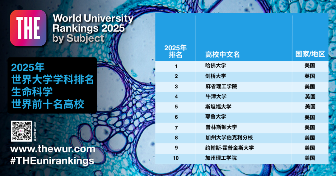 最新！2025年泰晤士高等教育世界大学学科排名发布，MIT和斯坦福霸榜！