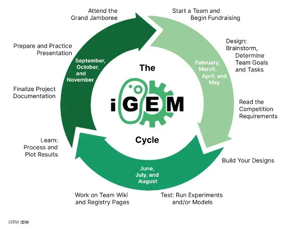 iGEM竞赛报名费用多少钱？iGEM竞赛什么时间举行？