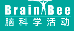 3-4月国际竞赛倒计时！欧几里得/物理碗/BBO/USABO等报名即将截止！