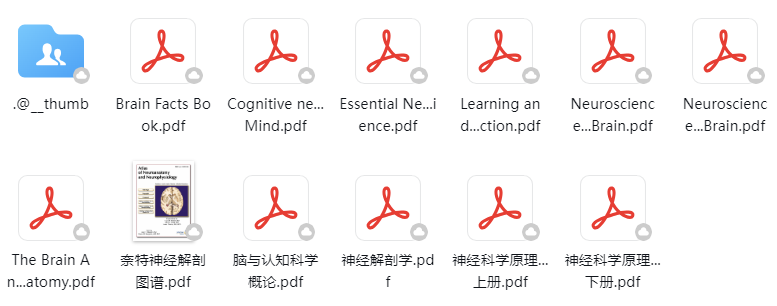 2025年BrainBee生物竞赛时间安排公布！附BrainBee参赛指南！