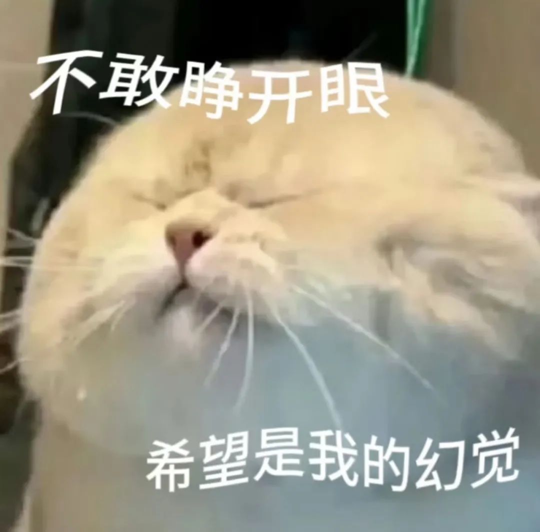 IB大考难度预警！考生崩溃潮：时间不够+非常规题目！剩余科目如何“自救”？