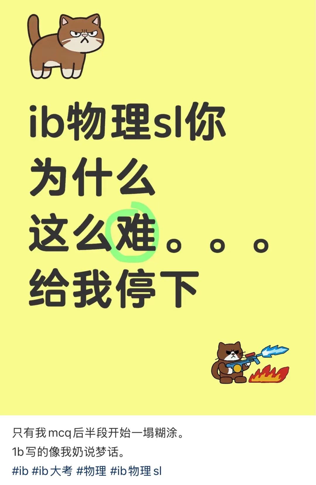 IB大考难度预警！考生崩溃潮：时间不够+非常规题目！剩余科目如何“自救”？