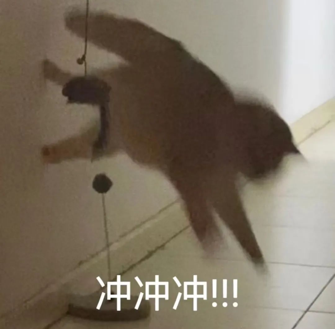 UCB工程学院本科新设「电气与计算机工程」！与EECS相比，谁才是本命专业？