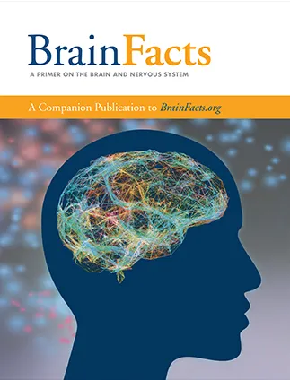 2025Brain Bee脑科学活动中国台湾进阶赛放榜！恭喜Raybet比分
学员摘得第一届首奖！