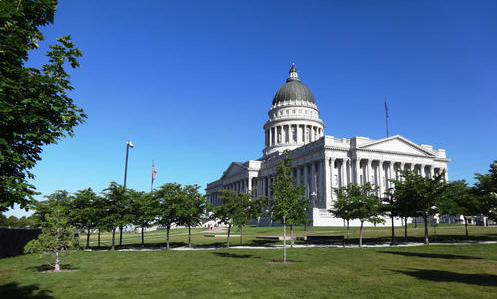 MIT、斯坦福、康奈尔新生画像：顶尖名校偏爱什么类型的学生？