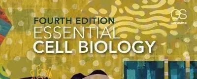 专攻生物医学！2025年ChinaMDO医学和疾病奥赛报名进行时！前8直通IMDO全球赛！